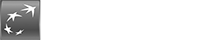 BNP Paribas - Partner Inkomensverklaring