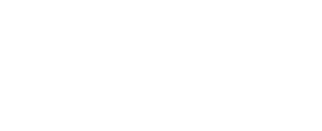ING Bank - Partner Inkomensverklaring