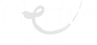 Merius - Partner Inkomensverklaring