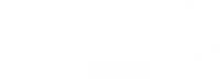 Philips Pensioenfonds - Partner Inkomensverklaring