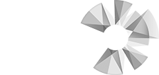 Reaal - Partner Inkomensverklaring